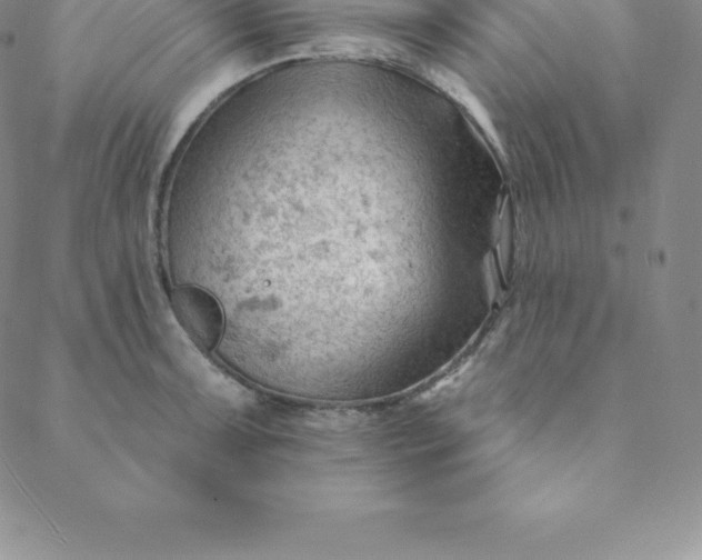 X0000088651091200706081631