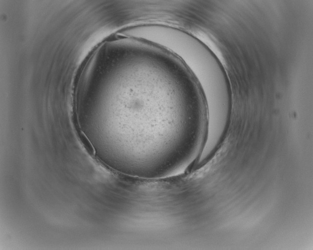 X0000088651093200706081631