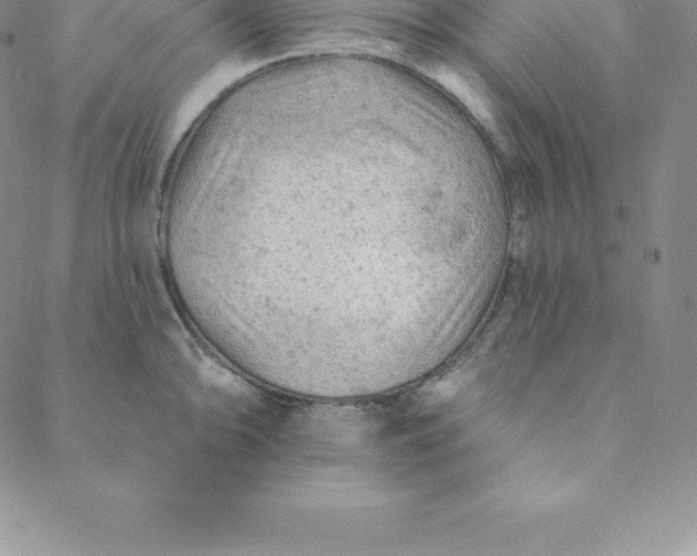 X0000088651094200706081631