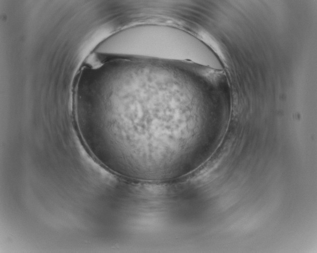 X0000088651095200706081631