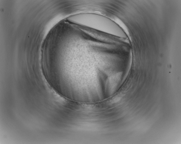 X0000088651096200706081631