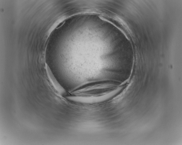 X0000088651097200706081631