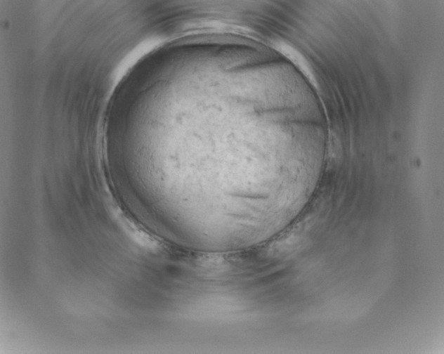 X0000088651098200706081631