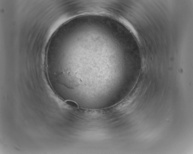 X0000088651099200706081631