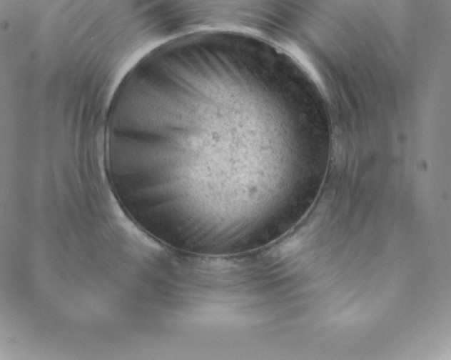 X0000088651100200706081631