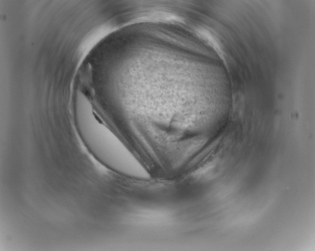 X0000088651103200706081631