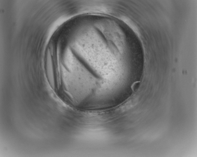 X0000088651104200706081631