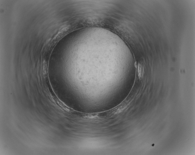 X0000088651107200706081630