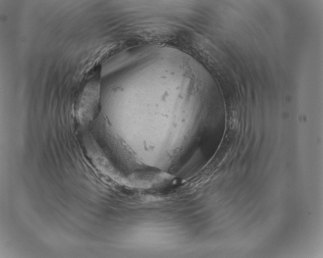 X0000088651108200706081630