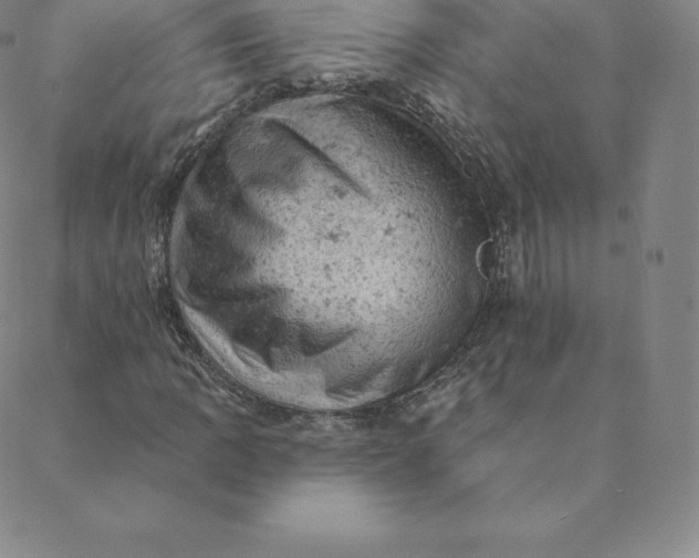 X0000088651109200706081630