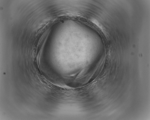 X0000088651110200706081630