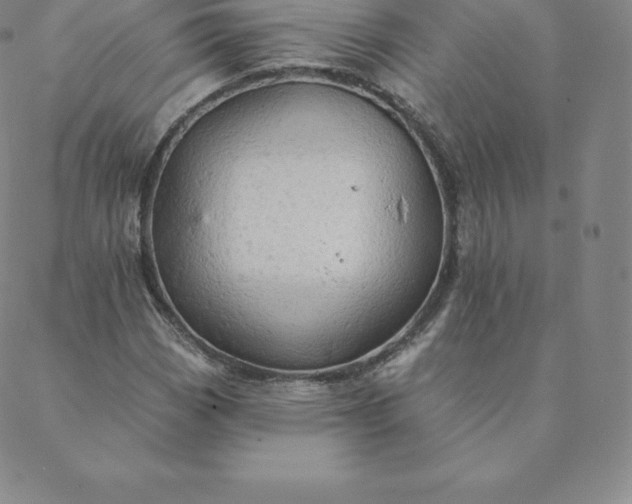 X0000088651113200706081630