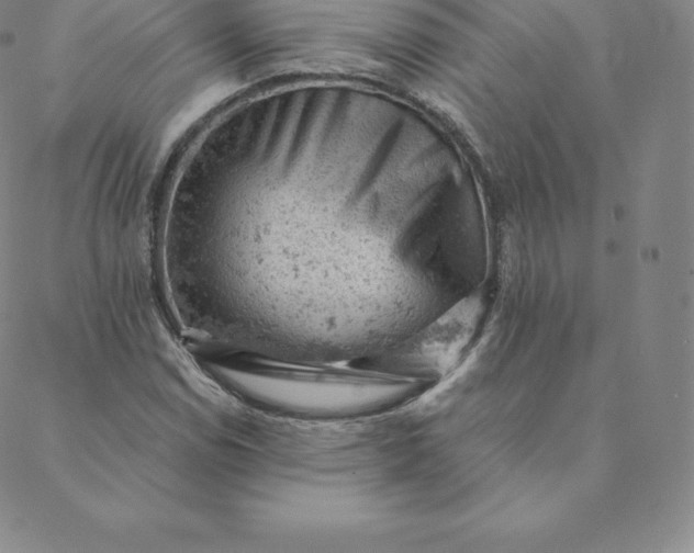 X0000088651114200706081631