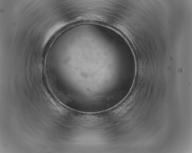 X0000088651115200706081631