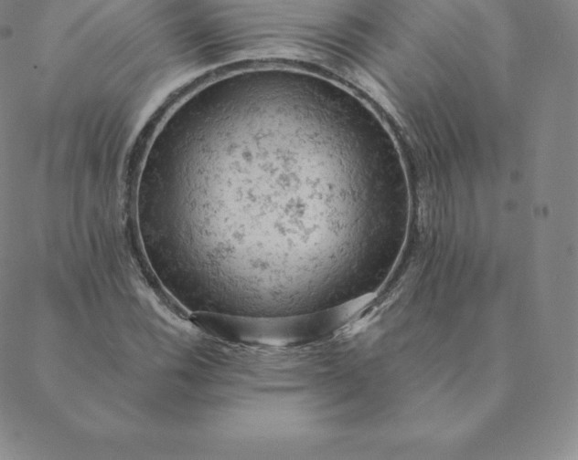 X0000088651116200706081631