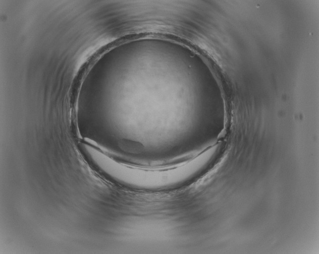 X0000088651117200706081631