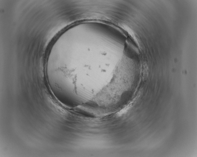 X0000088651120200706081631