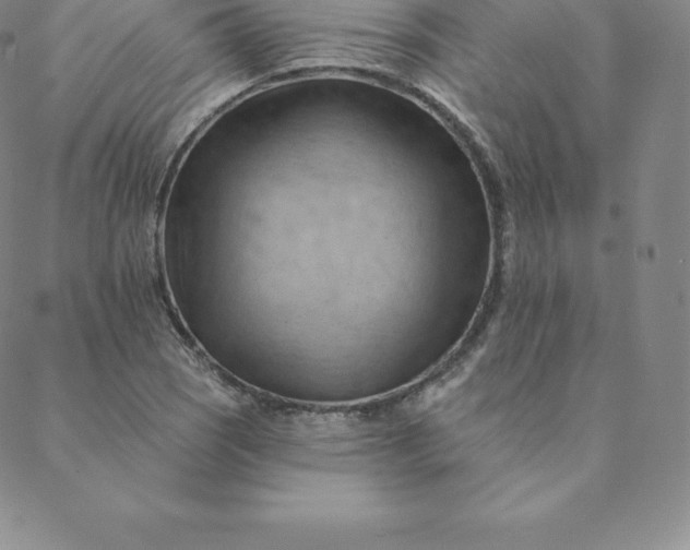 X0000088651121200706081631