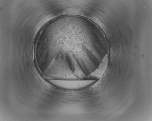 X0000088651123200706081631