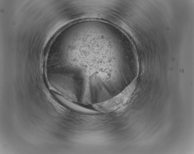 X0000088651124200706081631