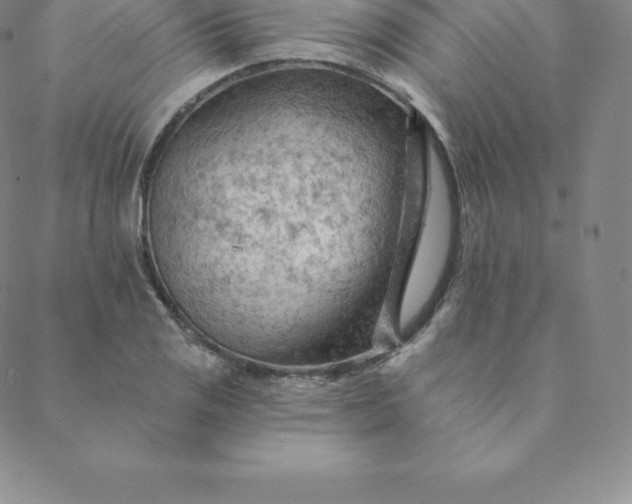 X0000088651125200706081631