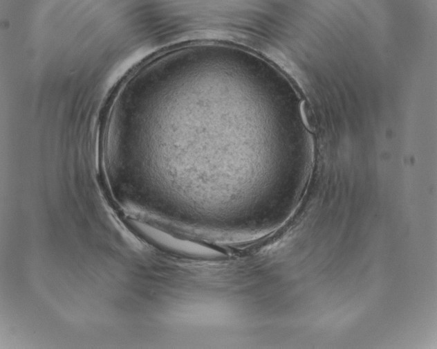 X0000088651127200706081631