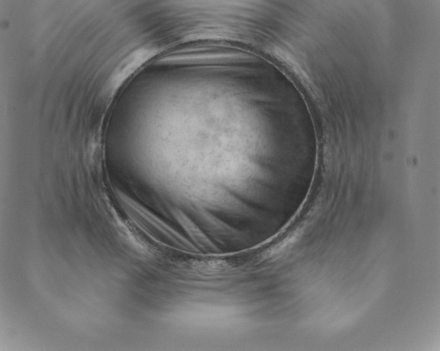 X0000088651129200706081631