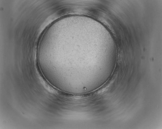 X0000088651130200706081631