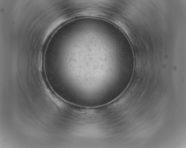 X0000088651131200706081631