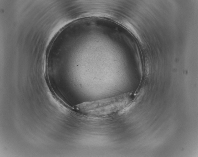 X0000088651132200706081631