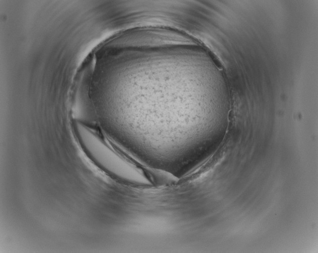 X0000088651134200706081631