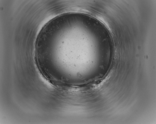 X0000088651136200706081631