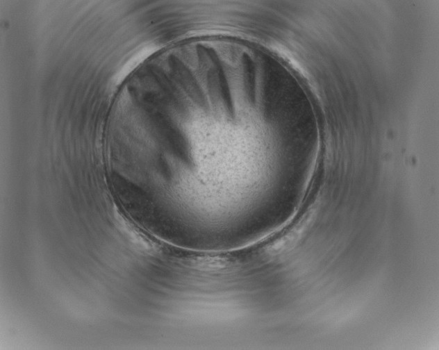 X0000088651137200706081631