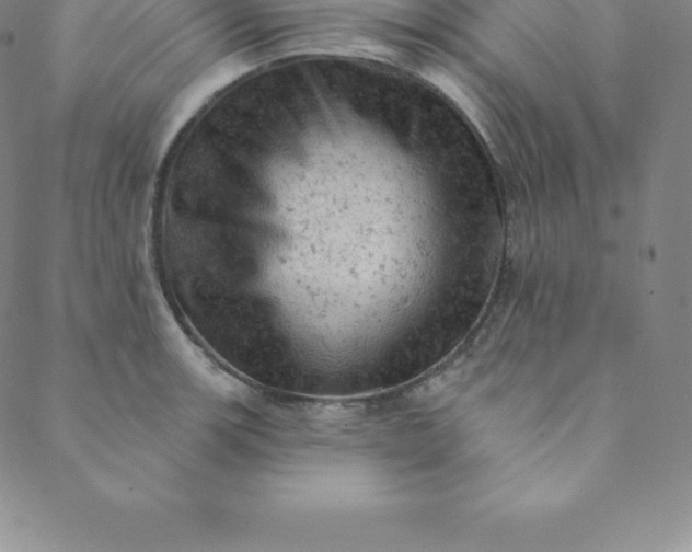 X0000088651139200706081631