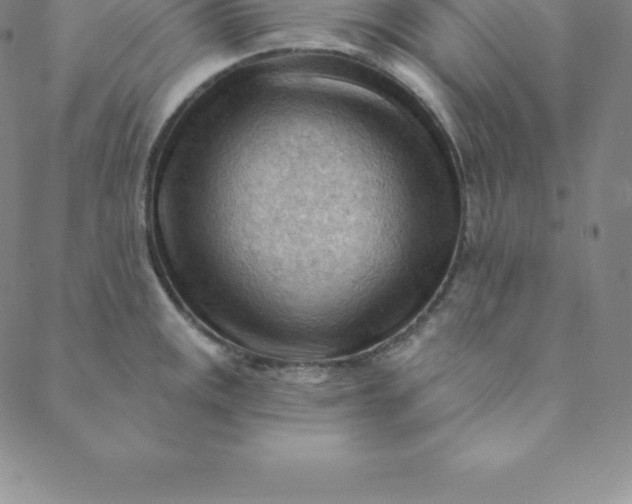 X0000088651141200706081631