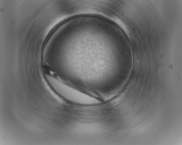 X0000088651142200706081631