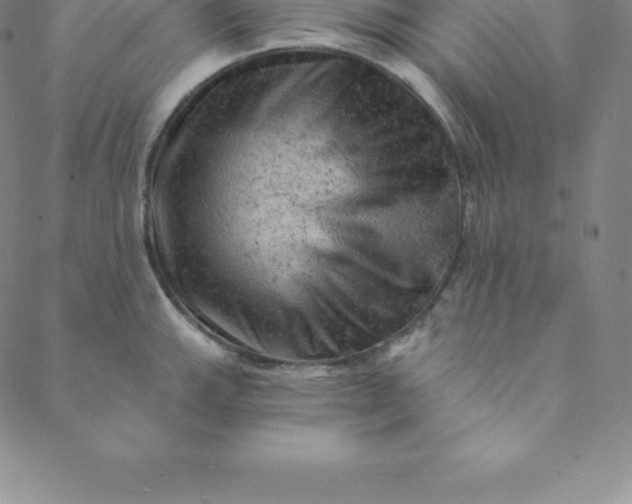 X0000088651143200706081631