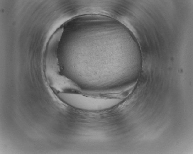 X0000088651144200706081631