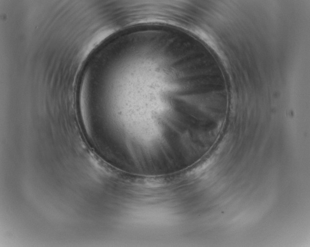 X0000088651145200706081631