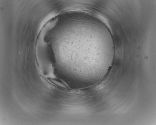 X0000088651146200706081631