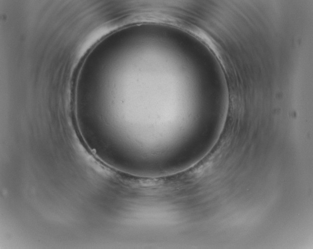 X0000088651147200706081631