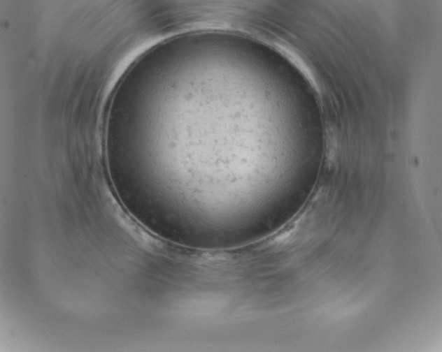 X0000088651148200706081631