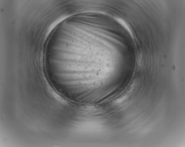 X0000088651149200706081631