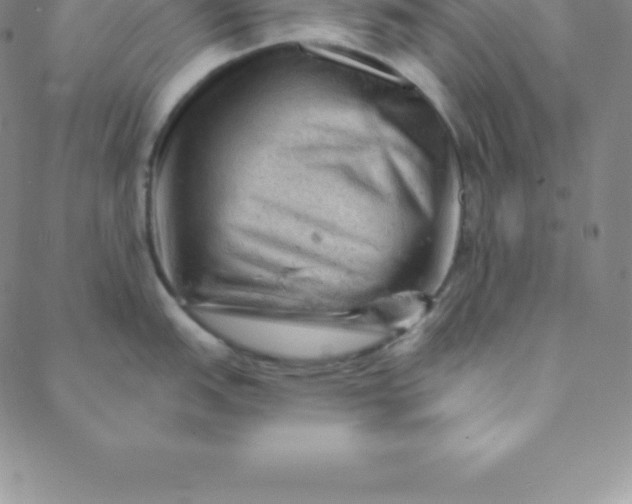 X0000088651151200706081631