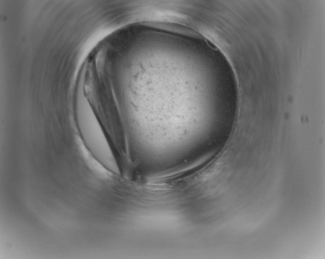 X0000088651152200706081631