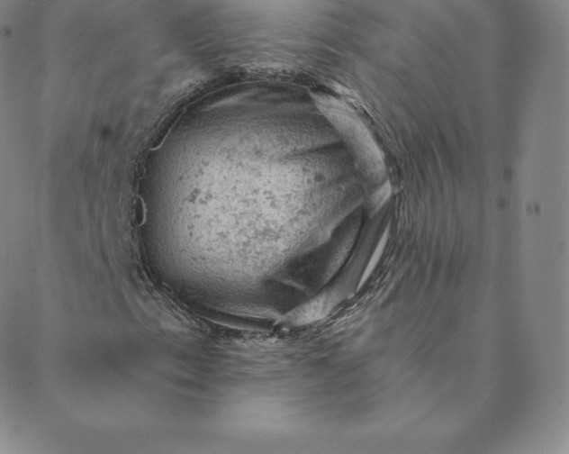 X0000088651153200706081630