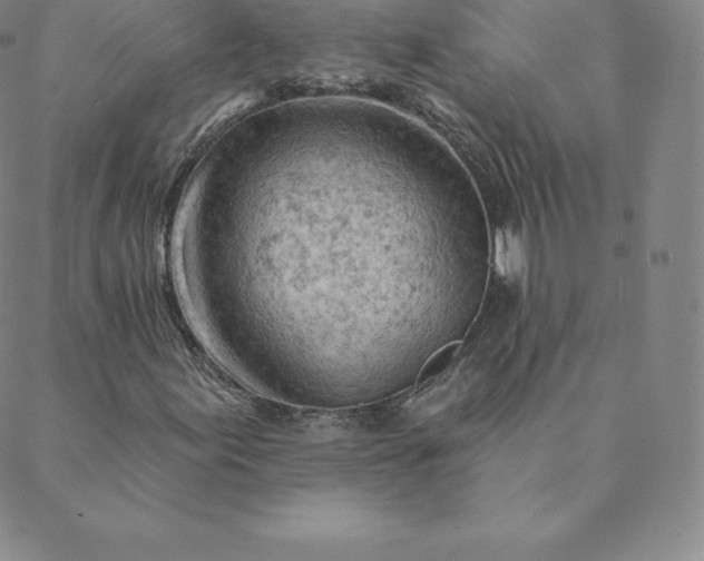 X0000088651155200706081630