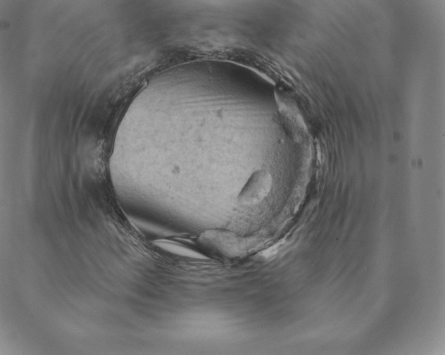 X0000088651156200706081630