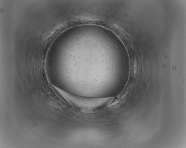 X0000088651157200706081630