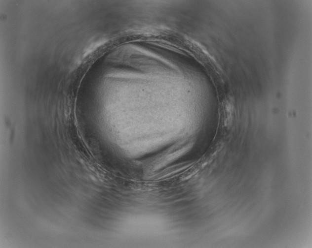 X0000088651158200706081630